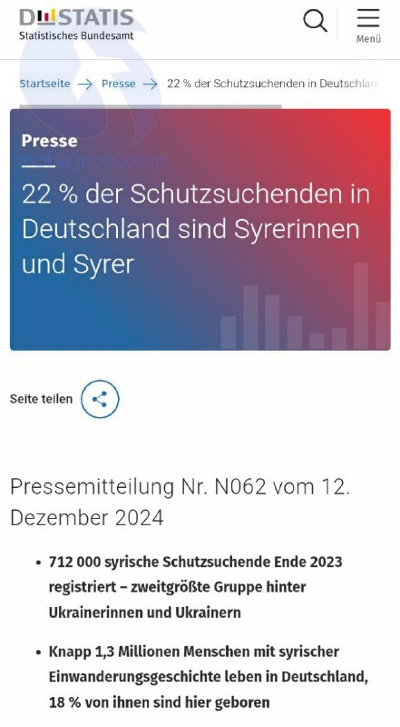 أحدث إحصائيات الجالية السورية في ألمانيا لعام 2025: عدد السكان، الفئات العمرية والجنسية