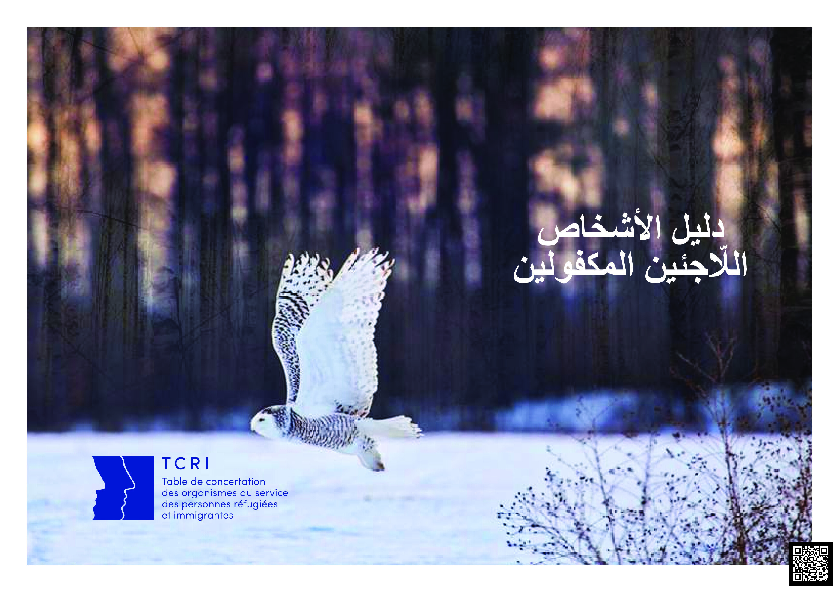 الصورة غير متوفرة